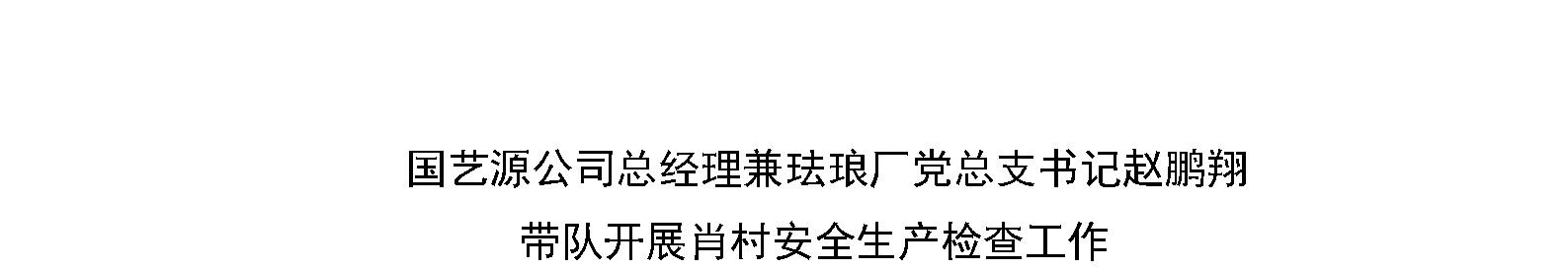 国艺源公司总经理兼珐琅厂党总支书记赵鹏翔 带队开展肖村安全生产检查工作